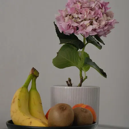 Apartman Eifelmomente